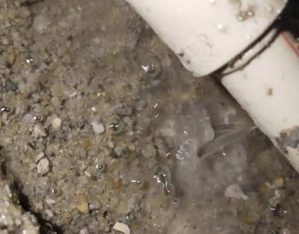 仓山测漏水电话号码