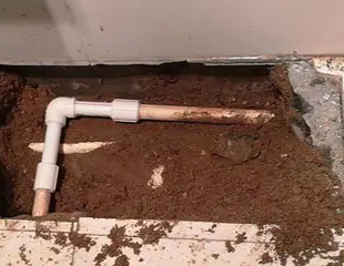 仓山测漏水哪家好