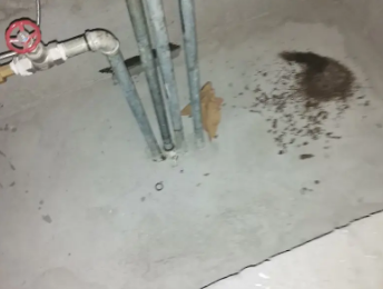 仓山卫生间测漏水价格明细