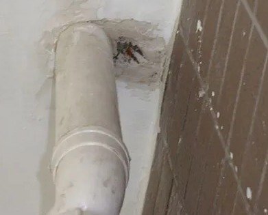 仓山漏水检测哪家好